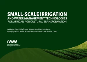 Small-Scale Irrigation and Water Management Technologies for African Agricultural Transformation