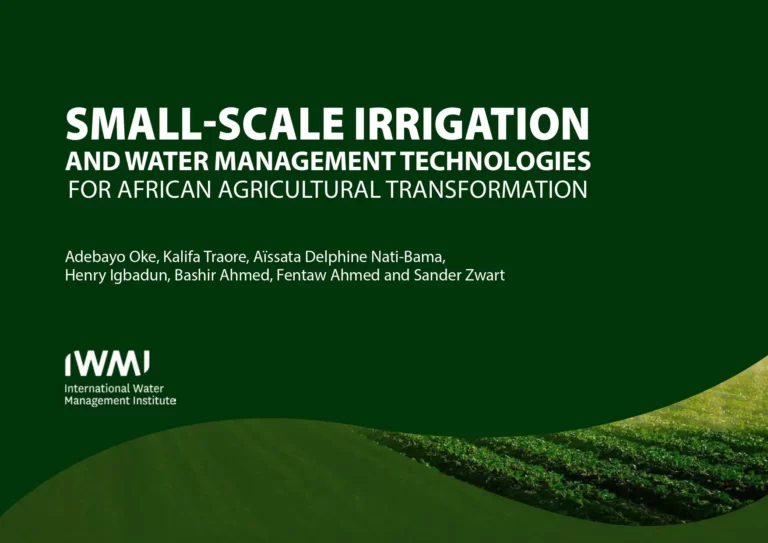 Small-Scale Irrigation and Water Management Technologies for African Agricultural Transformation