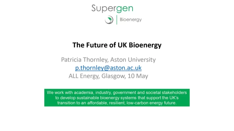 The Future of UK Bioenergy