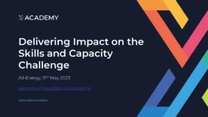 Delivering Impact on the Skills and Capacity Challenge