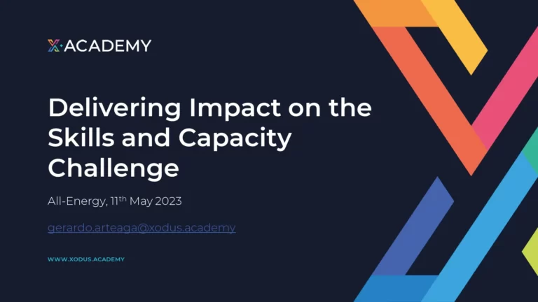 Delivering Impact on the Skills and Capacity Challenge