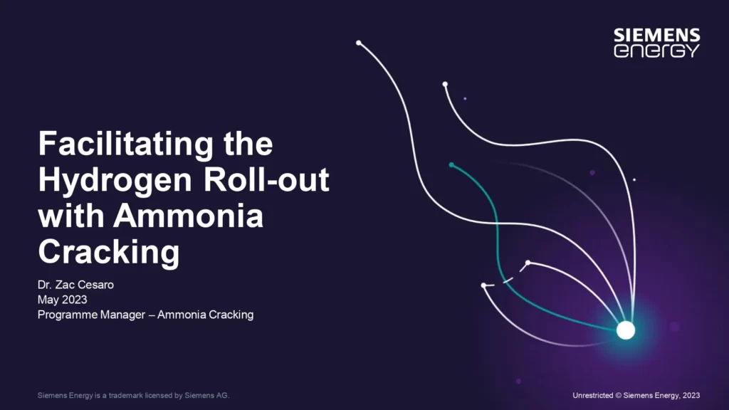 Facilitating the Hydrogen Roll-out with Ammonia Cracking