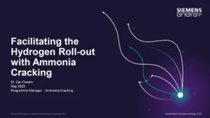 Facilitating the Hydrogen Roll-out with Ammonia Cracking
