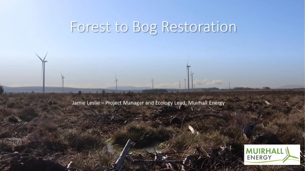 Forest to Bog Restoration