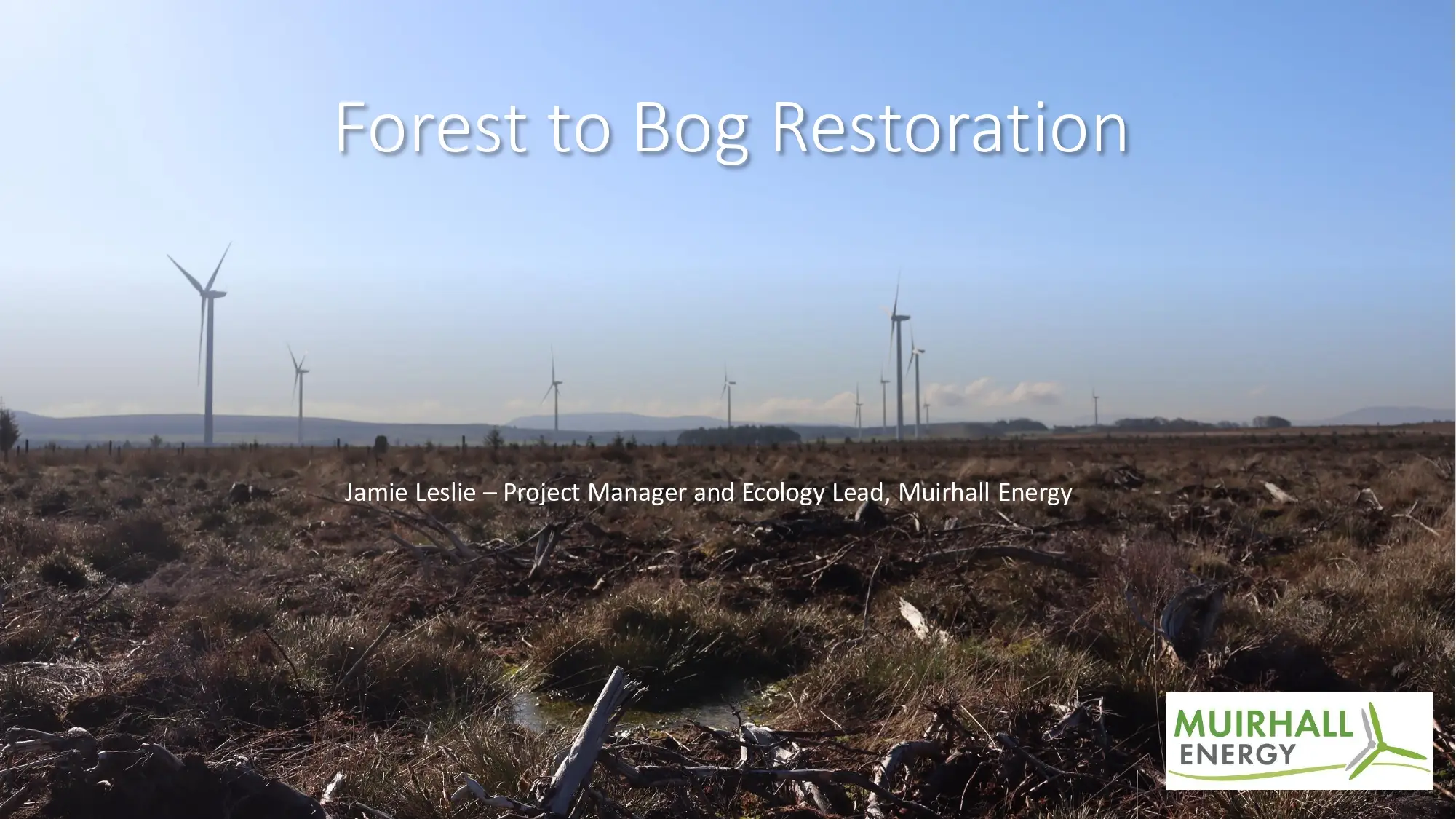 Forest to Bog Restoration