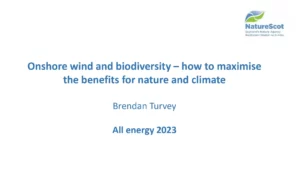 Onshore Wind and Biodiversity – How to Maximise the Benefits for Nature and Climate
