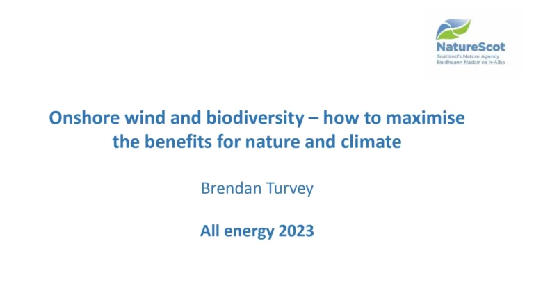 Onshore Wind and Biodiversity – How to Maximise the Benefits for Nature and Climate