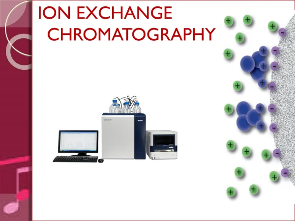 Ion Exchange Chromatography