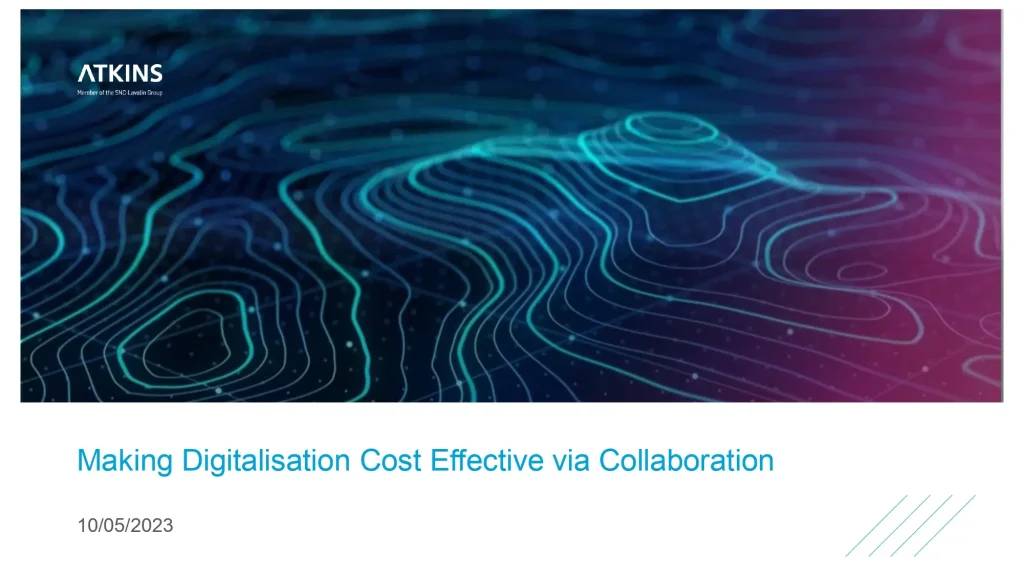Making Digitalisation Cost Effective via Collaboration