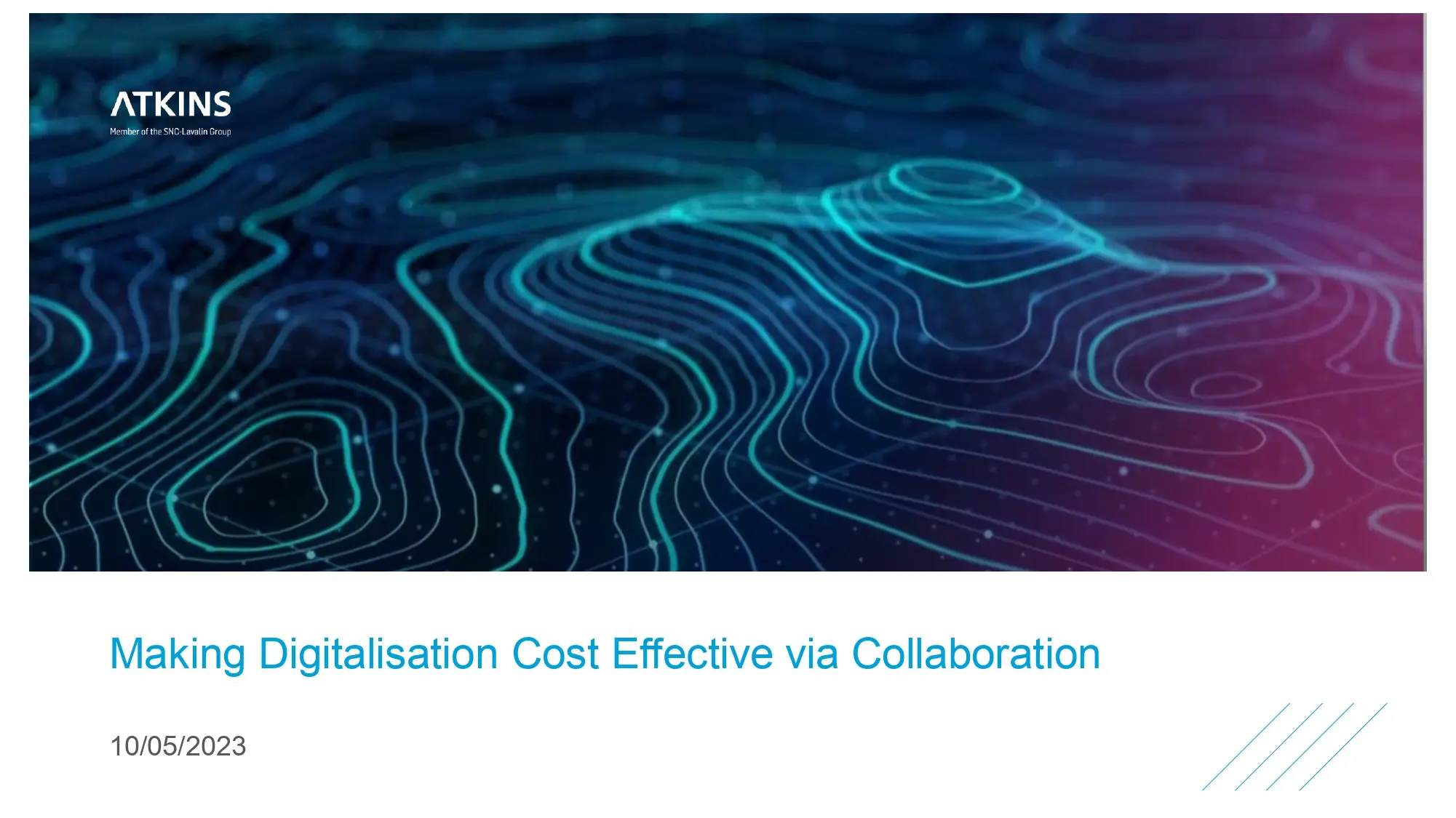 Making Digitalisation Cost Effective via Collaboration