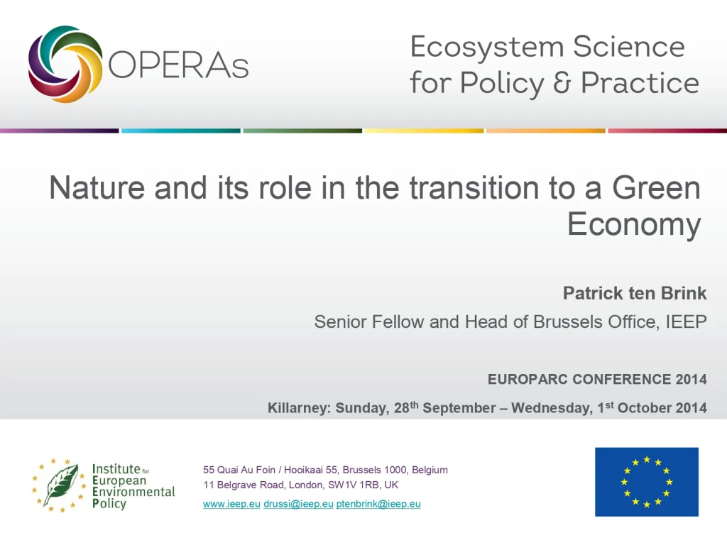 Nature and Its Role in the Transition to a Green Economy