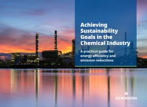 Achieving Sustainability Goals in the Chemical Industry