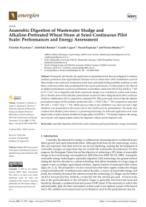 Anaerobic Digestion of Wastewater Sludge and Alkaline-Pretreated Wheat Straw at Semi-Continuous Pilot Scale