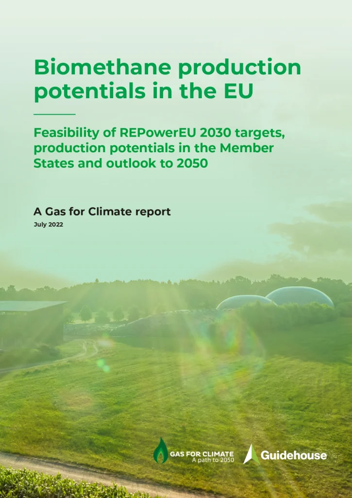 Biomethane production potentials in the EU