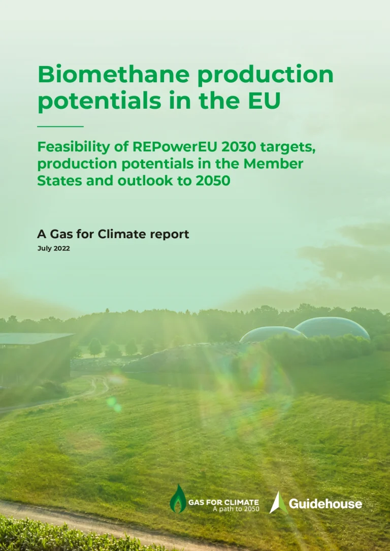 Biomethane production potentials in the EU