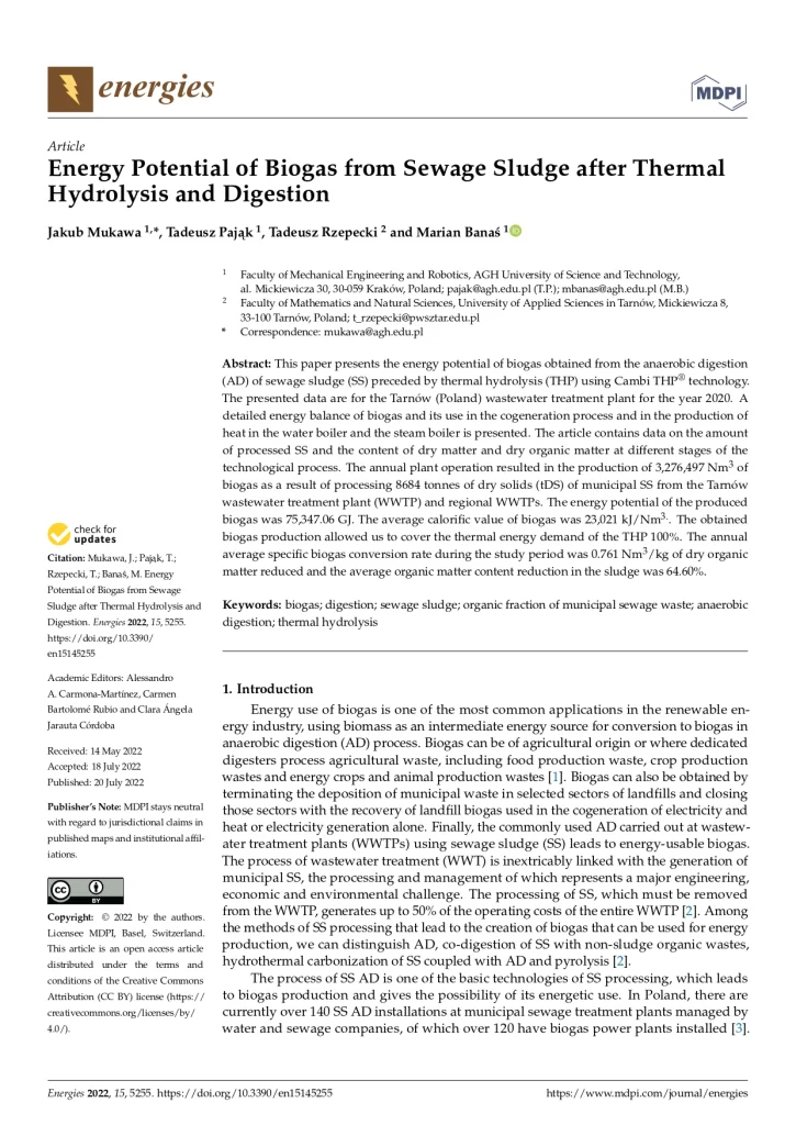 Energy Potential of Biogas from Sewage Sludge after Thermal