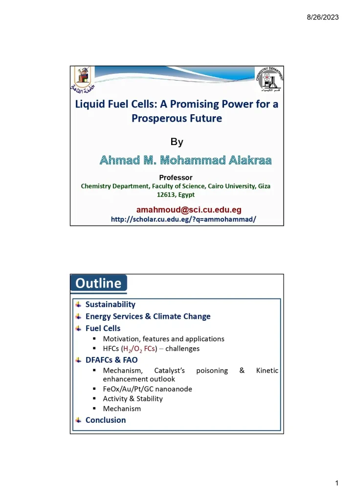 Liquid Fuel Cells a Promising Power for a Prosperous Future