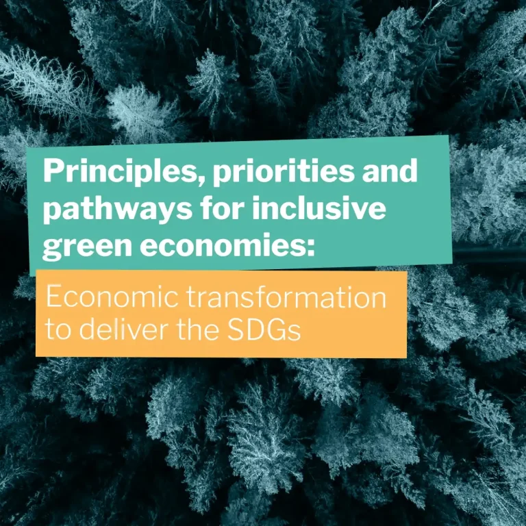 Principles, Priorities and Pathways for Inclusive Green Economies