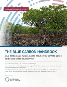 The Blue Carbon Handbook