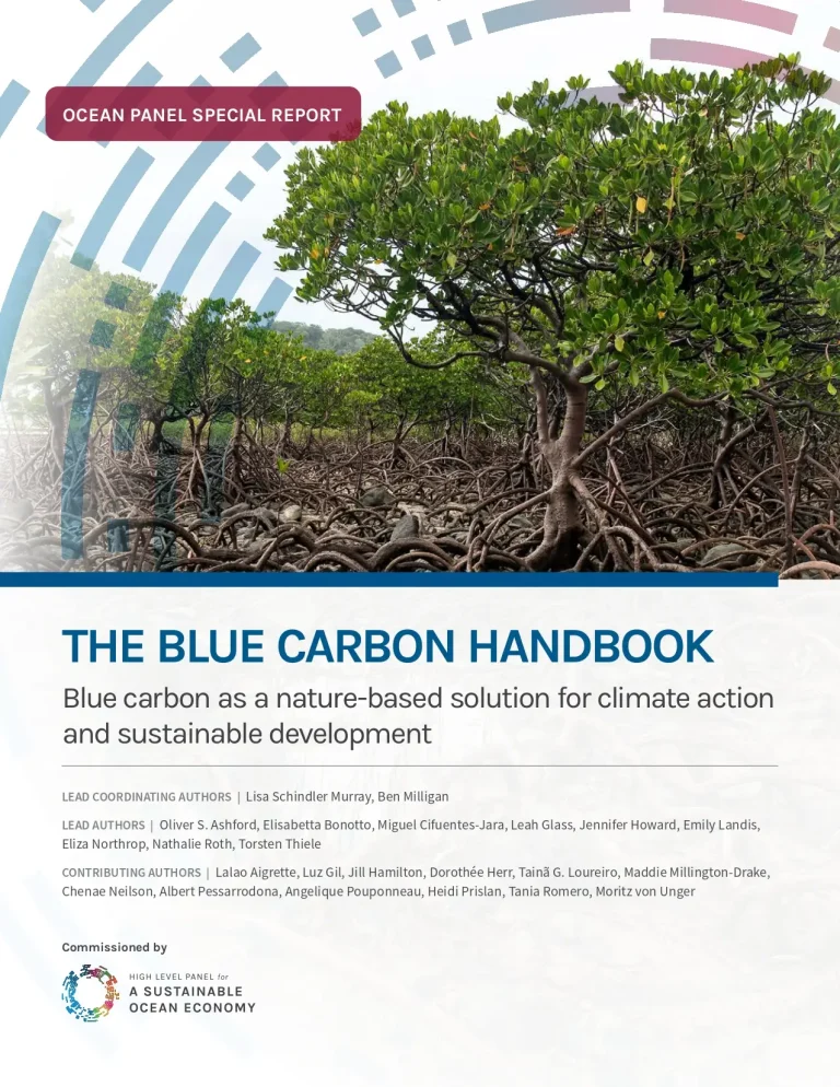 The Blue Carbon Handbook