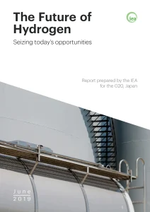 The Future of Hydrogen