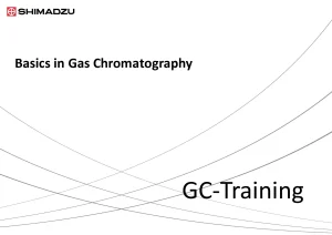 Basics in Gas Chromatography