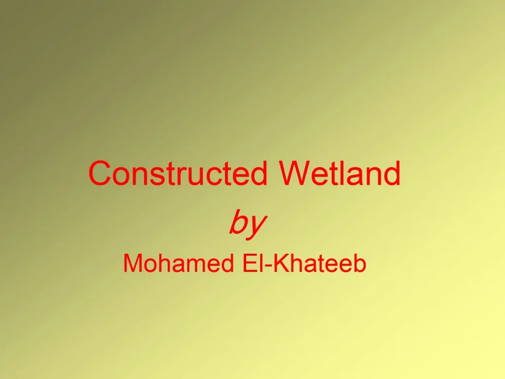 Constructed Wetland