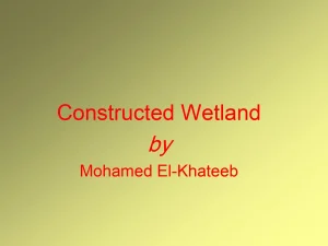 Constructed Wetland