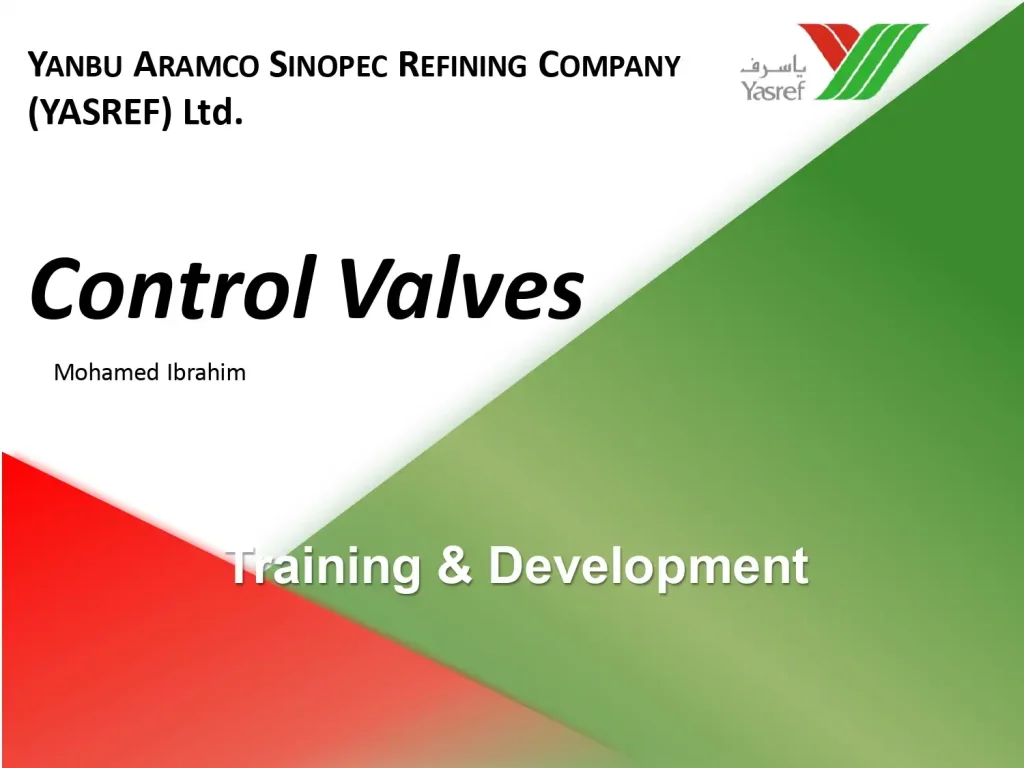Control Valves Training& Development