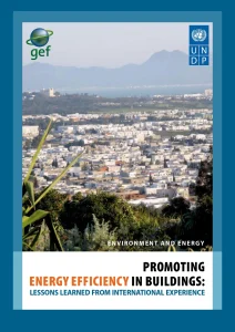 Promoting Energy Efficiency in Buildings: Lessons Learned from International Experience