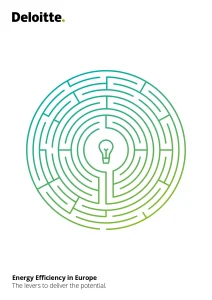 Energy Efficiency in Europe