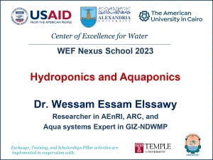 Hydroponics and Aquaponics