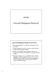 Iron and Manganese Removal