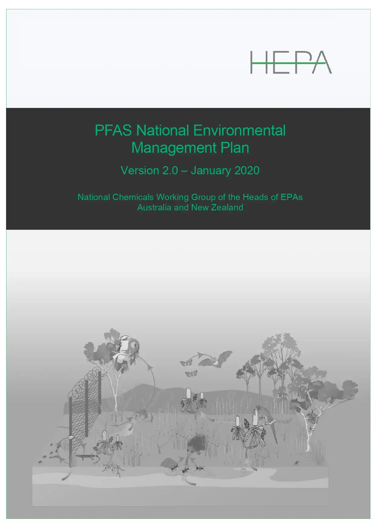 PFAS National Environmental Management Plan