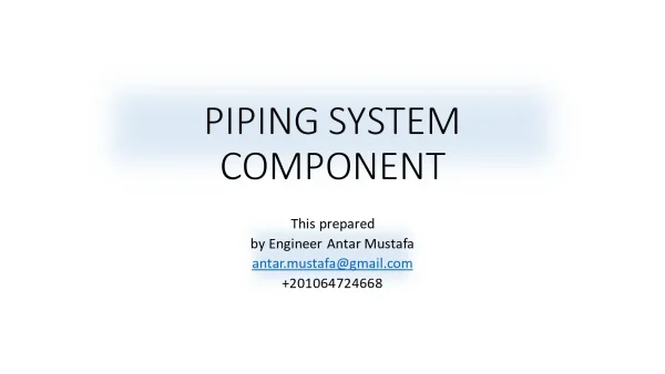 Piping System Component