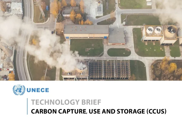 Technology Brief Carbon Capture, Use and Storage (CCUS)