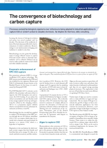 The Convergence of Biotechnology and Carbon Capture