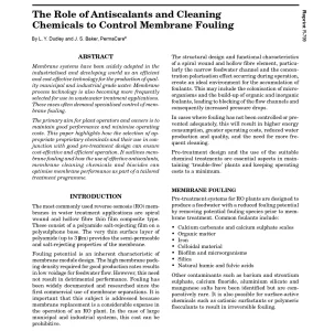 The Role of Antiscalants and Cleaning Chemicals to Control Membrane Fouling