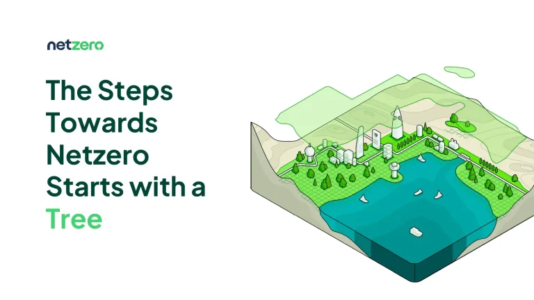 The Steps Towards Net Zero Starts with a Tree