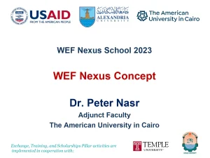 WEF Nexus Concept