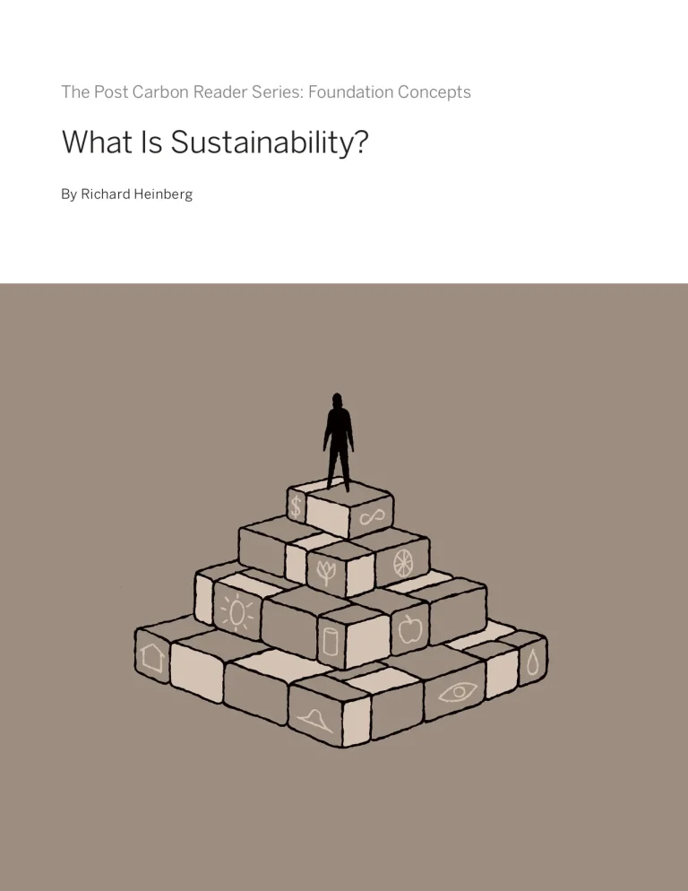 What Is Sustainability?