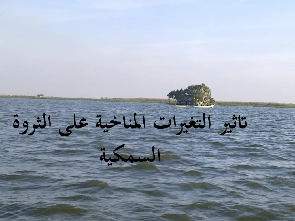 تاثير التغيرات المناخية على الثروة السمكية