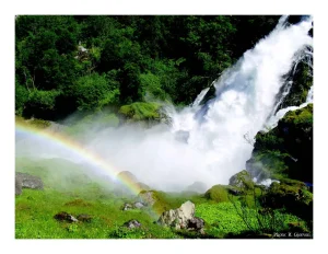 معالجة المياه الرمادية و إعادة استخدامها