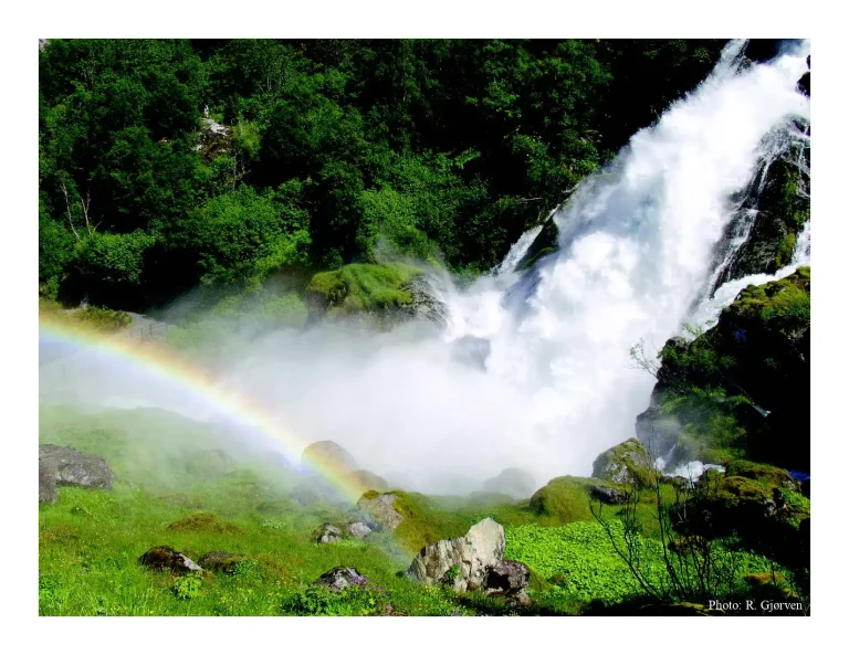 معالجة المياه الرمادية و إعادة استخدامها