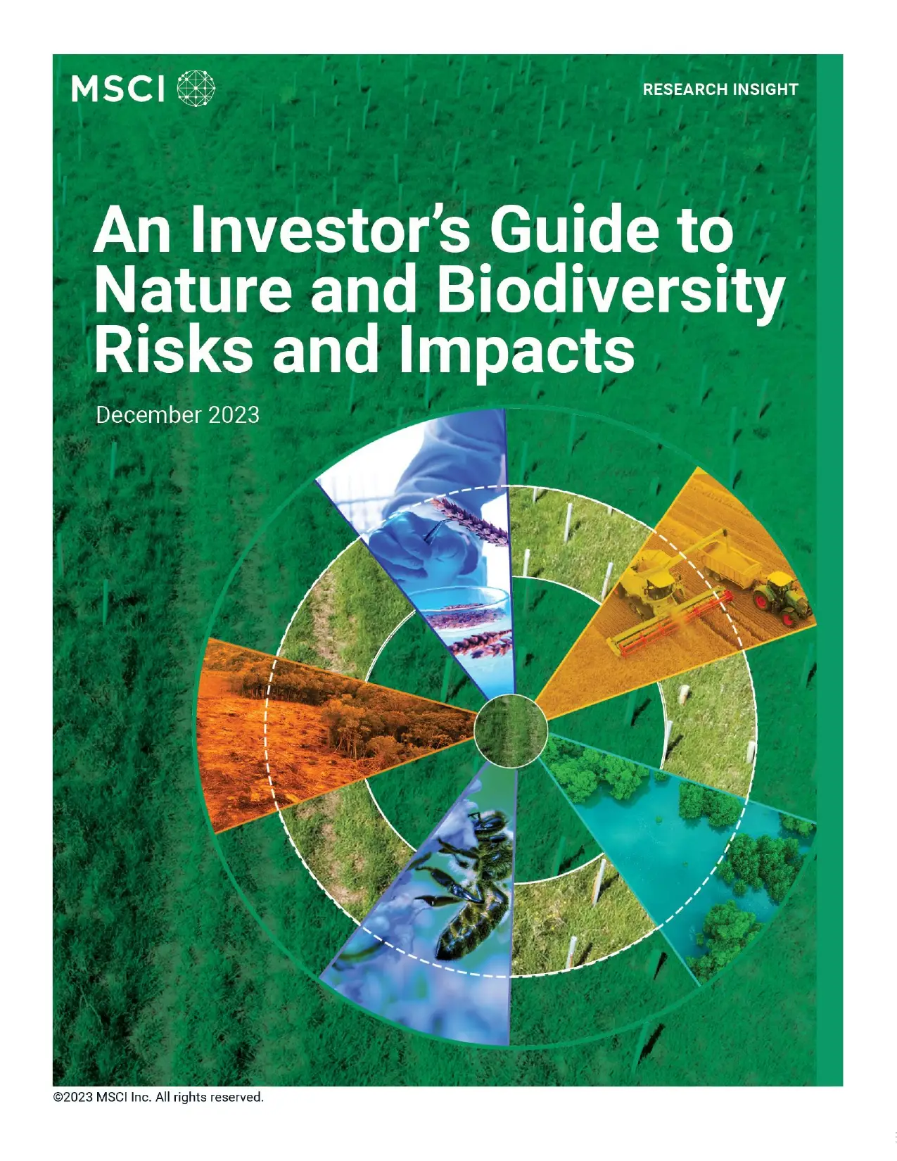An Investor's Guide To Nature And Biodiversity Risks And Impacts