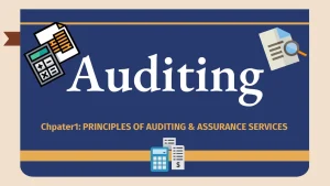 Auditing