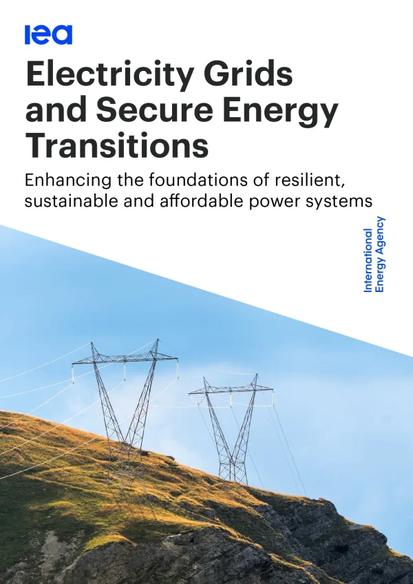 Electricity Grids and Secure Energy Transitions
