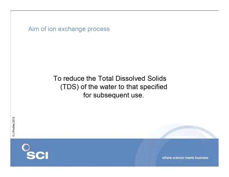 Ion Exchange Process Design