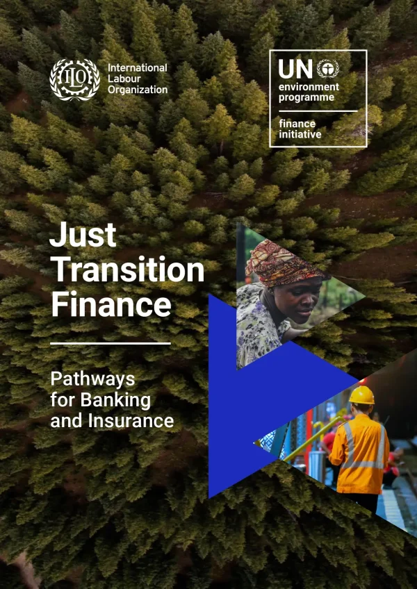Just Transition Finance: Pathways For Banking And Insurance