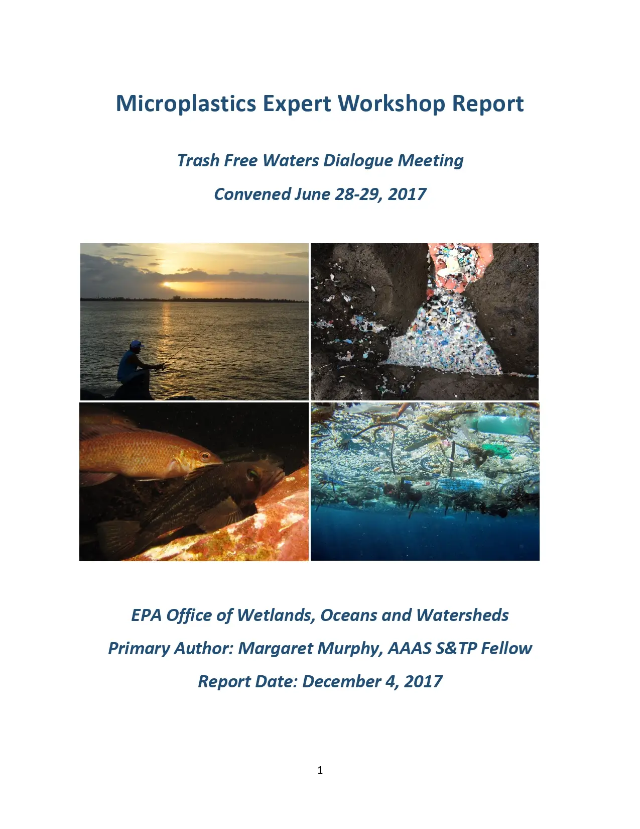 Microplastics Expert Workshop Report: Trash Free Waters Dialogue Meeting